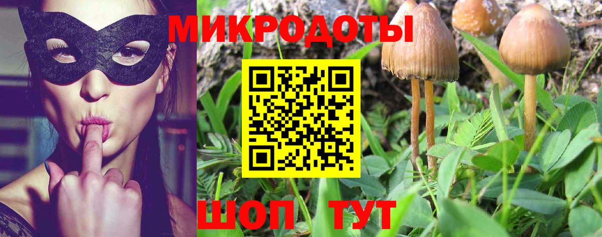 Галлюциногенные грибы мицелий Изобильный
